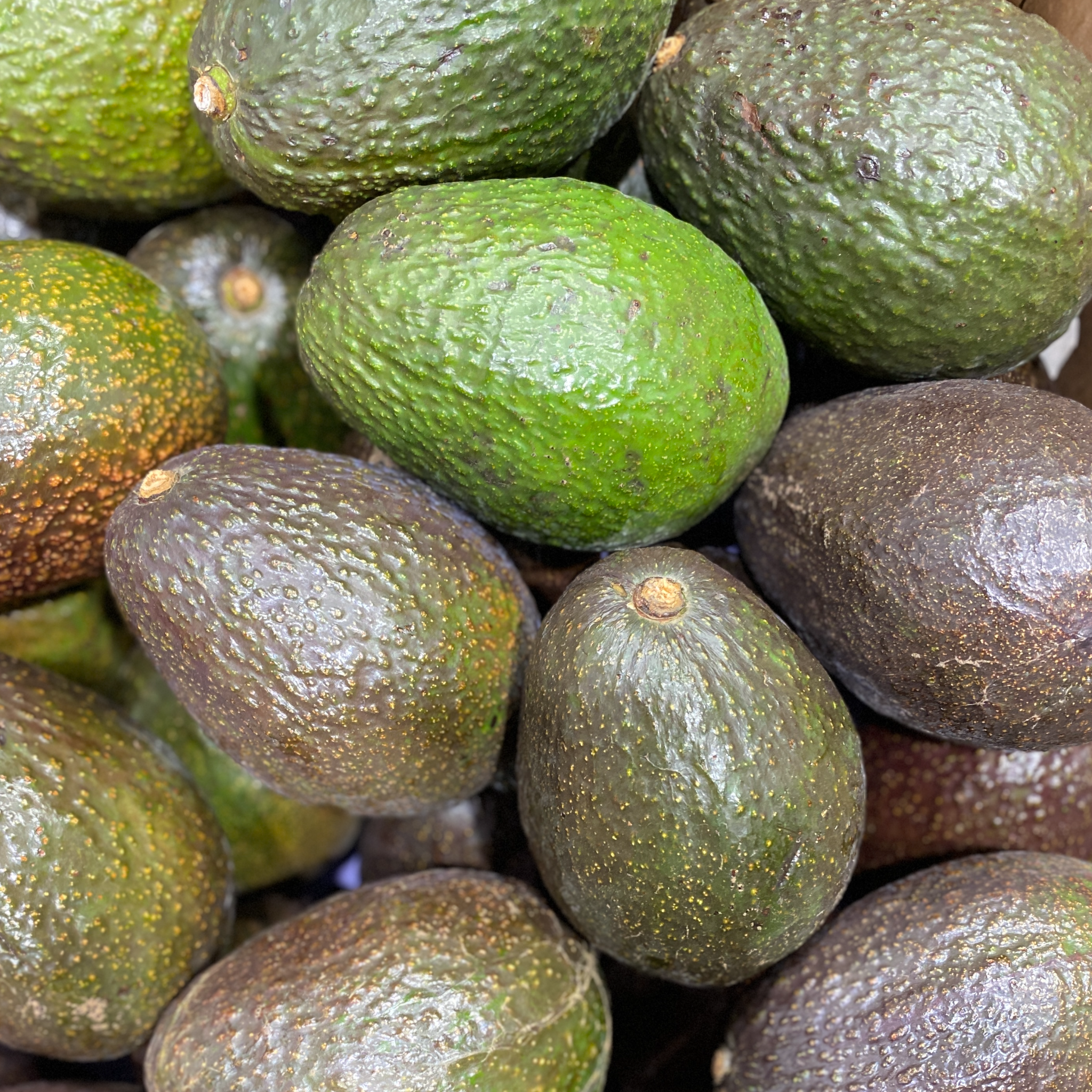 A stack of avocados from green to ripe