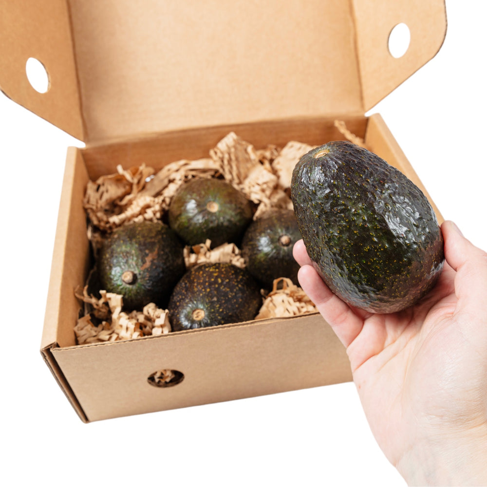 Available across the U.S., this pack of 6 avocados is ready for immediate consumption.