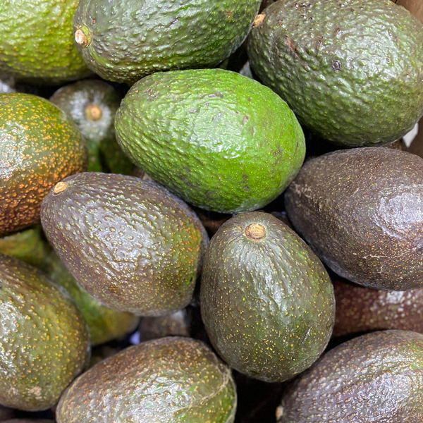 Davocadoguy avocados stacked in a case. Shown here from green to semi to semi-ripe