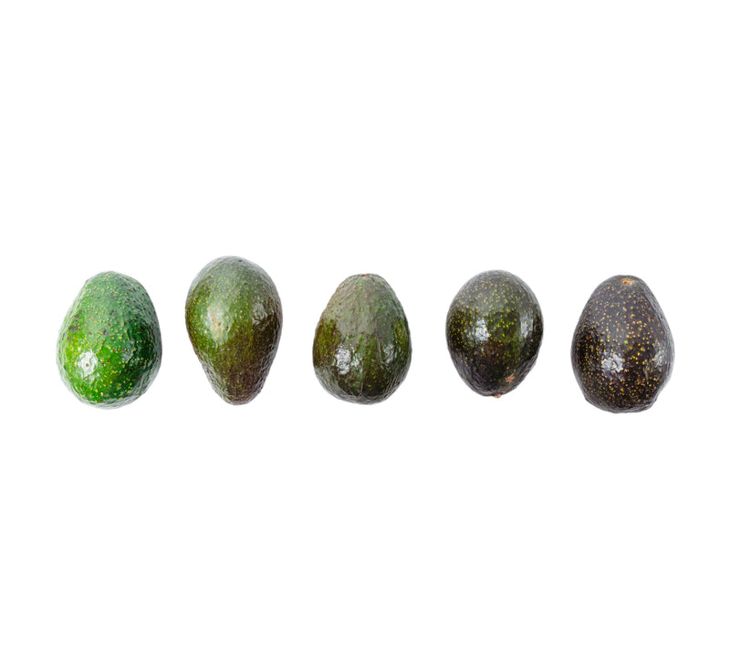 5 Davocadoguy Avocados lined up in a row showing the different ripening stages from green to ripe