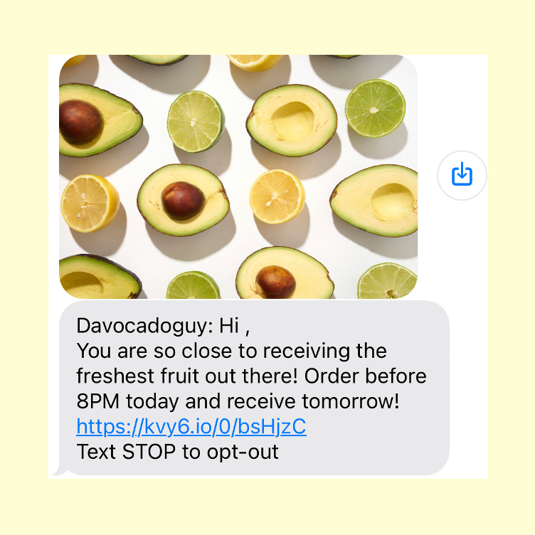 DavocadoGuy message saying 'DavocadoGuy: Hi, You are so close to receiving the freshest fruit out there! Order before 8PM today and receive tomorrow!'