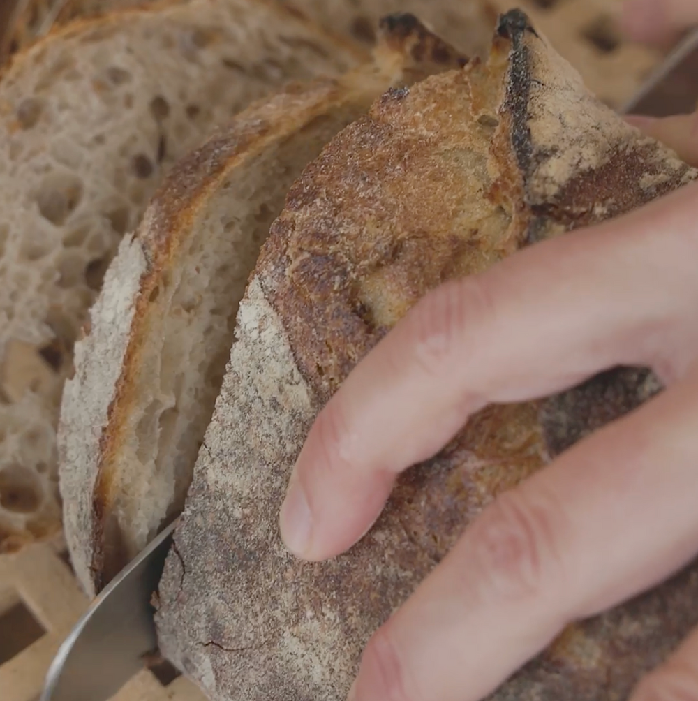 a hand holding slices of rustic bread