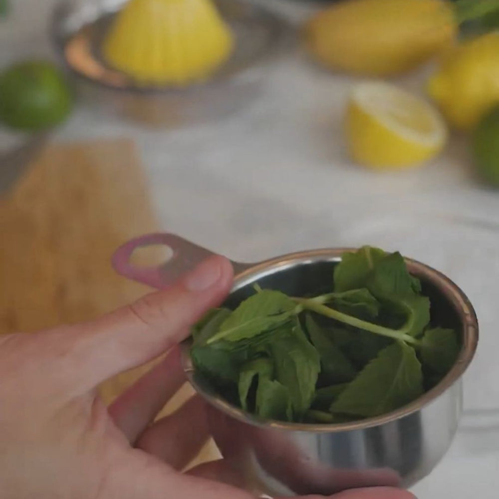 a hand holding a recipient with mint